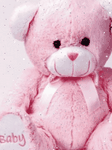 pic for Pink Teddy